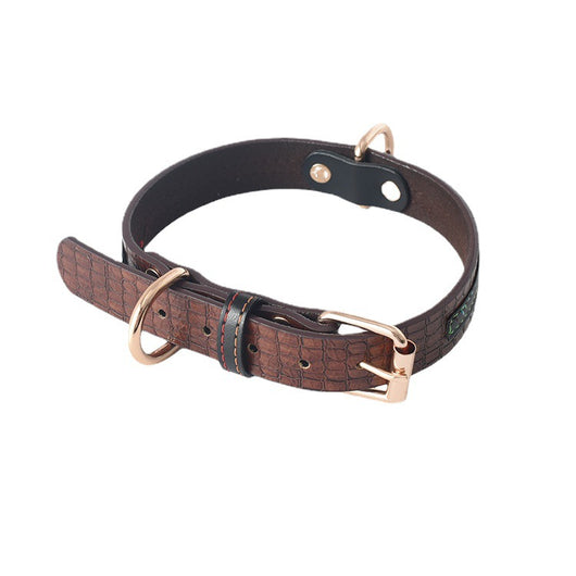 Correa y Collar para Perro - Sistema de Control Seguro