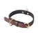 Correa y Collar para Perro - Sistema de Control Seguro