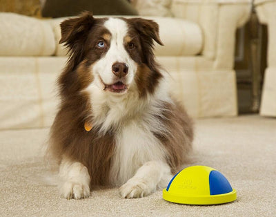 Pelota de Caucho Resistente - Image 4