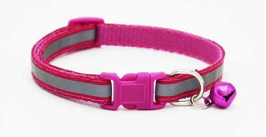 Collar Fluorescente para Perros - Image 8