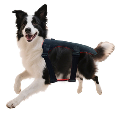 Manta Térmica de Luz Roja Infrarroja para Perros - Image 9