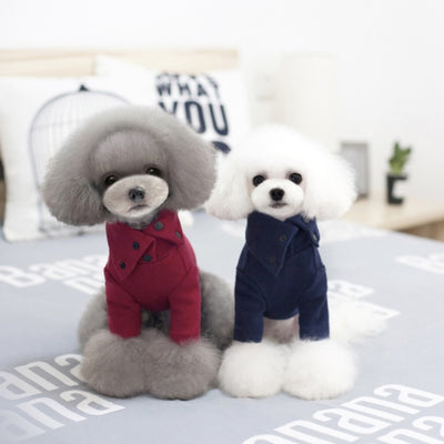 Ropa de Otoño e Invierno para Perros Pequeños - Image 3