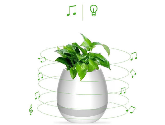 Maceta Musical Inteligente - Image 4
