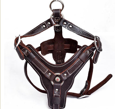 Arnés de Cuero Genuino para Perros - Image 6