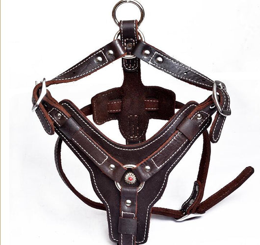 Arnés de Cuero Genuino para Perros - Image 6