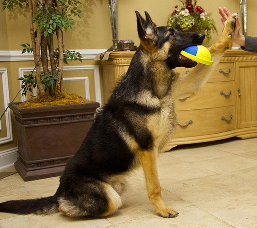 Pelota de Caucho Resistente - Image 5