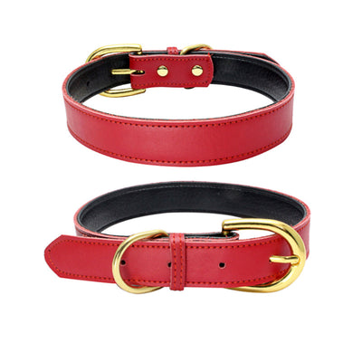 Collar para Mascotas de Cuero Genuino - Image 7