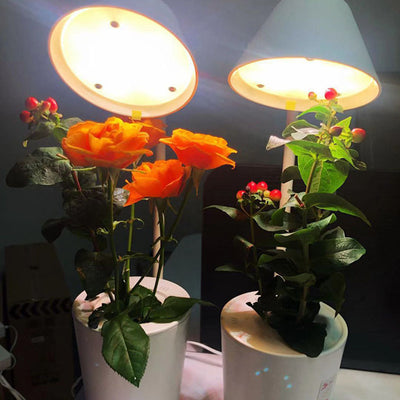 Sistema de Cultivo Hidropónico Automático - Image 3