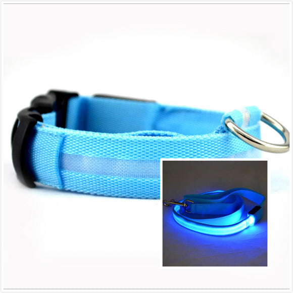 Collar LED Luminoso para Perros