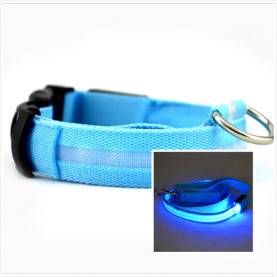 Collar LED Luminoso para Perros - Image 2