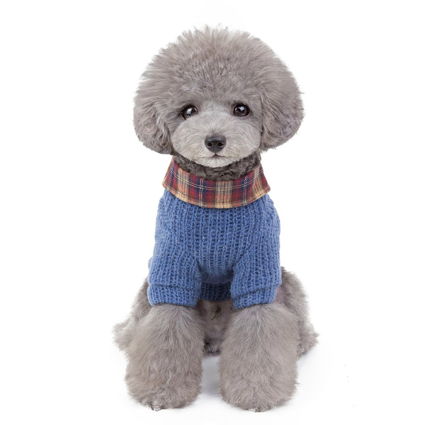 Ropa Protectora para Perros y Gatos contra el Viento - Image 16
