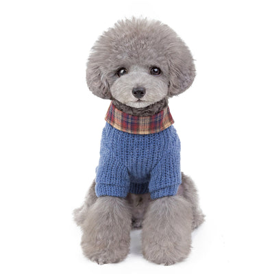 Ropa Protectora para Perros y Gatos contra el Viento - Image 16