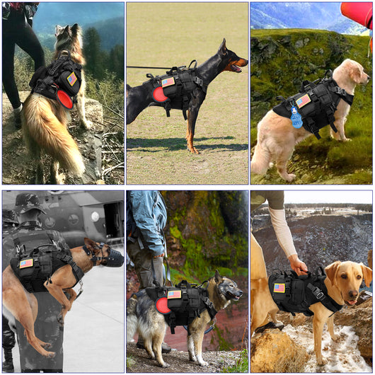 Chaleco Táctico para Perros - Traje Exterior Resistente - Image 6