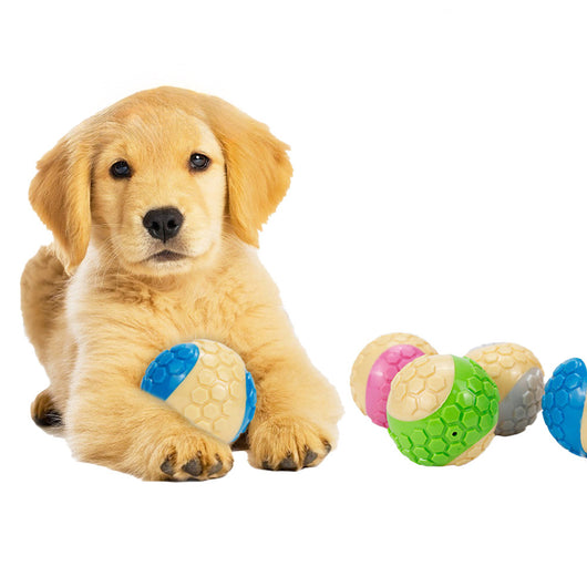 Juguete Interactivo para Perro TRP Cuadros - Resistente a Mordidas