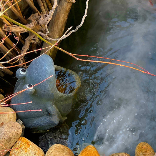 Fuente Decorativa con Ornamentos de Rana - Image 6