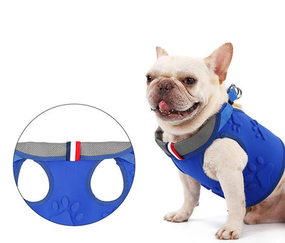 Arnés para Perro con Cuerda de Arrastre - Image 15