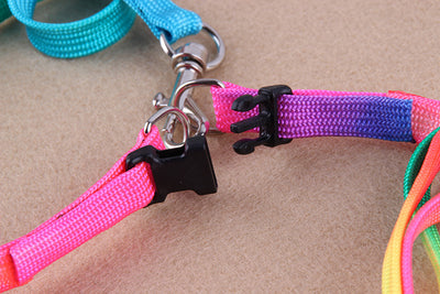 Correas Coloridas para Mascotas - Image 5