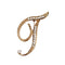 Fashion clothing accessories 26 English alphabet brooches T