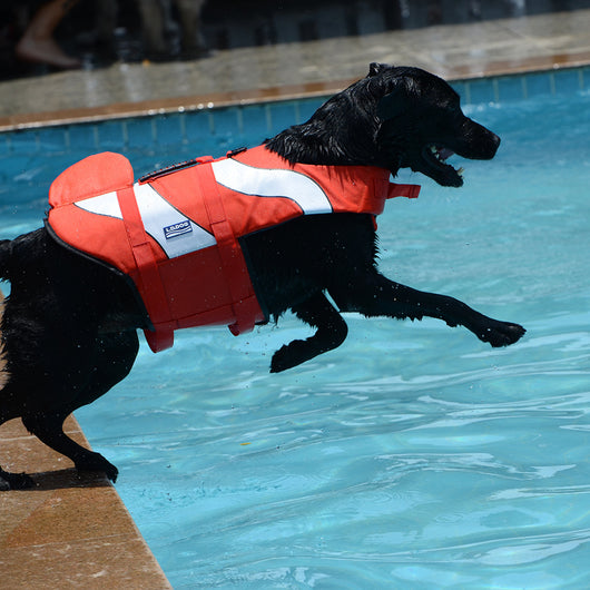 Chaleco Salvavidas para Perros - Diseño Tiburón Ajustable para Mascotas Pequeñas y Grandes - Image 2