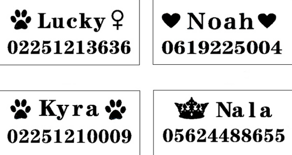Collar Personalizado para Perros