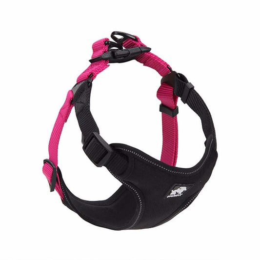 Correa y Collar para Pasear Perros - Control Seguro y Cómodo - Image 2