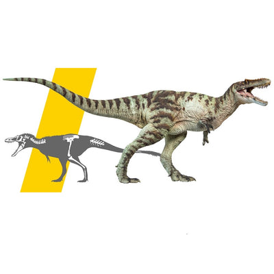 Dragón Qianzhou - Figura de Dinosaurio Jurásico Realista Ashu