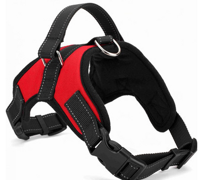 Arnés de Pecho tipo Montura para Perros - Image 8