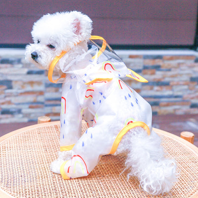 Impermeable Transparente Arcoíris para Perros - Image 7