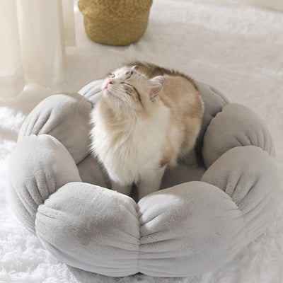 Arena para Gatos Premium Gruesa y Térmica - Image 5