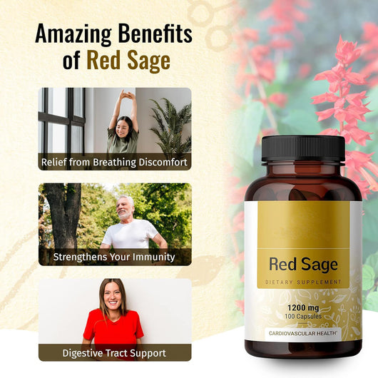 Cápsula de Salvia Miltiorrhiza con Ginseng Rojo - Image 3