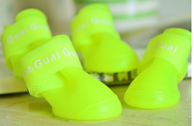 Botas Impermeables para Perros - Protección Todo el Año