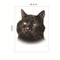 Gato 6
