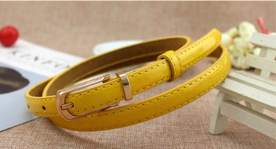 Cinturón Elástico Versátil con Hebilla de Pasador - Multicolor Ajustable para Pantalones - Image 16