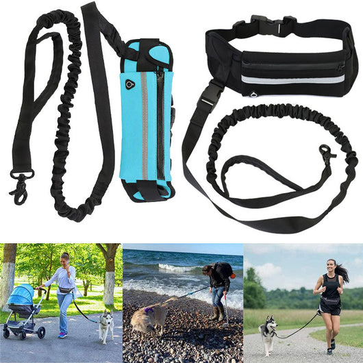 Bolso Correa para Pasear Perros - Manos Libres - Image 15