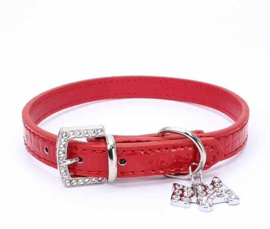 Dije Encantador de Cachorro con Cadena para Collar de Perro - Image 6