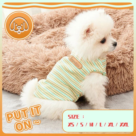 Playera Refrescante para Perros Pequeños - Outfit Primavera Verano Chihuahua Yorkshire - Image 6