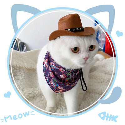 Sombrero Vaquero Británico XINGX para Gatos - Image 3