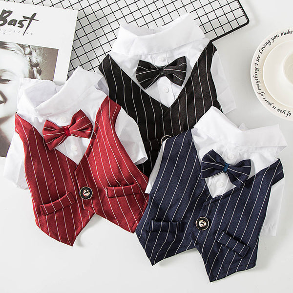 Traje Elegante para Perros Pequeños