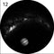 12 Star River Jupiter