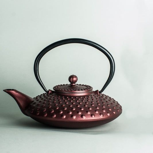 Olla de Hierro Fundido Rongshantang Multicolor