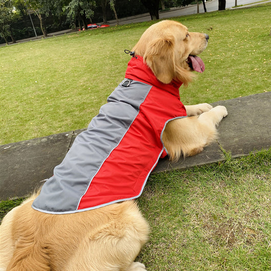 Abrigo Deportivo para Mascotas - Protección Otoño e Invierno - Image 5