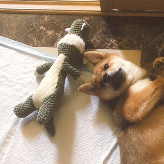 Juguetes de Peluche Resistentes para Perros - Mordederas Seguras - Image 2
