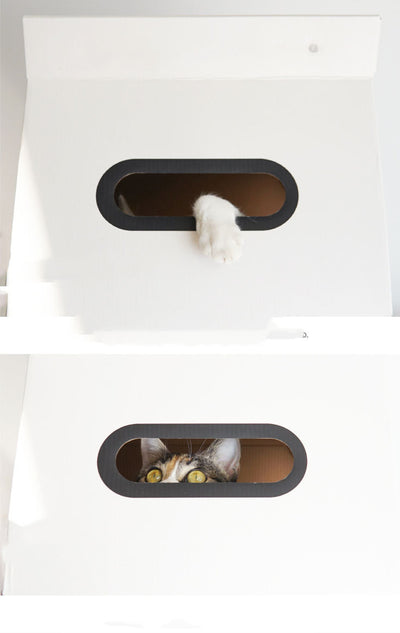 Juguete Rascador de Cartón Corrugado para Gatos - Resistente y Divertido - Image 3
