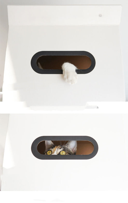 Juguete Rascador de Cartón Corrugado para Gatos - Resistente y Divertido - Image 3
