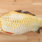 J 30 cm
