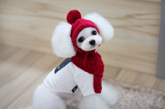 Conjunto de Abrigo para Perro: Gorro, Babero y Bufanda de Lana para Otoño e Invierno