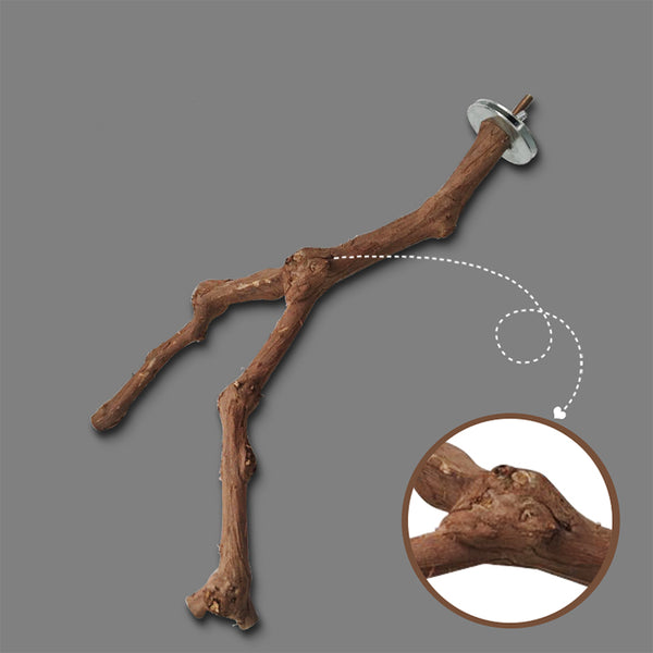 Percha Adicional para Jaula de Loros y Aves