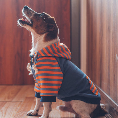 Sudadera con Capucha para Perros - Image 5