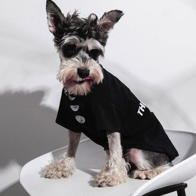 Ropa Fresca para Gatos - Diseño Ligero para Verano - Image 3