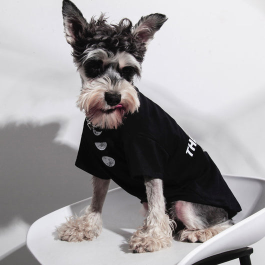 Ropa Fresca para Gatos - Diseño Ligero para Verano - Image 3